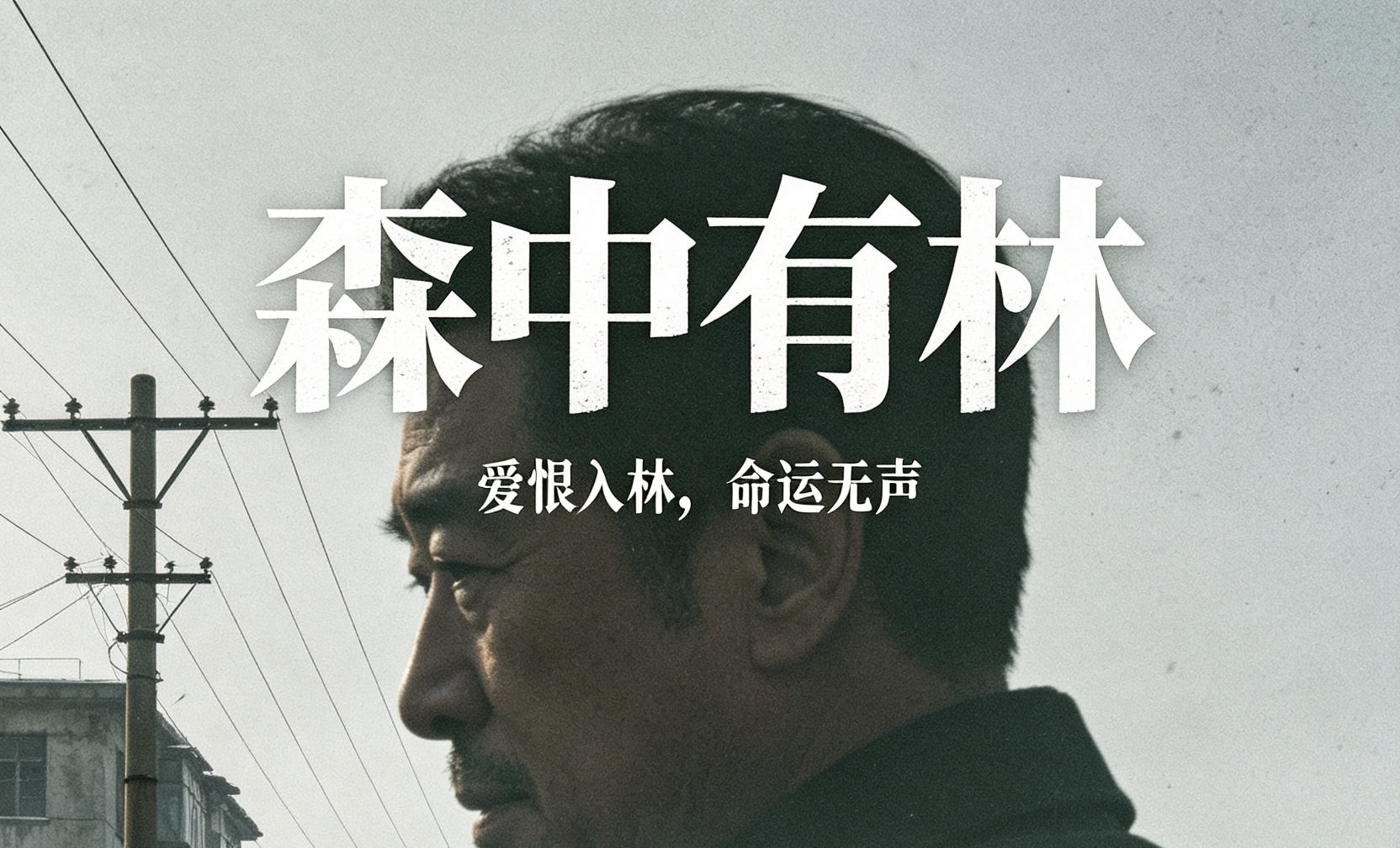 《森中有林》(2026) 完整剧情介绍